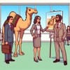 Service: IT Consulting - Camel Software Service