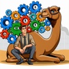 Service: 3rd Party Integration - Camel Software Service